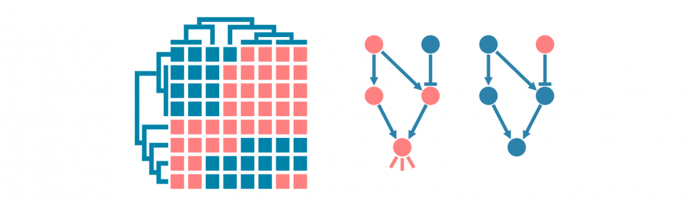 RNA sequencing data analysis service – Genevia Technologies