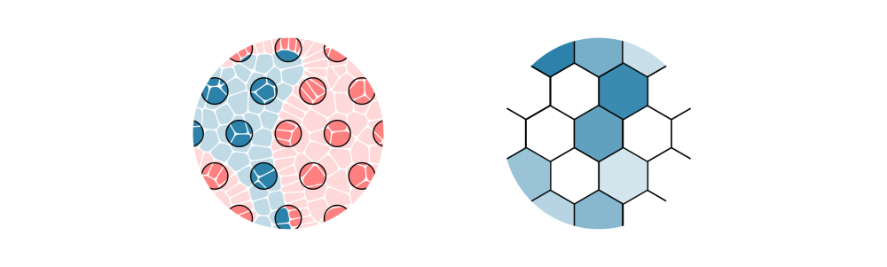 Spatial transcriptomics data analysis service – Genevia Technologies