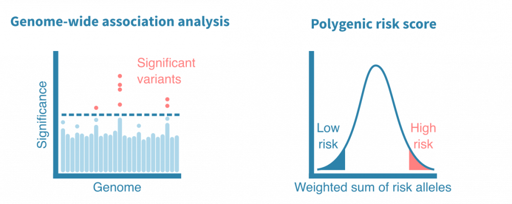 GWAS and polygenic risk score analysis – Genevia Technologies