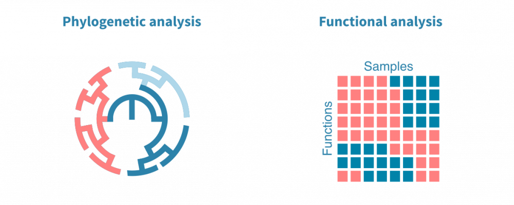 Metagenomics data analysis – Genevia Technologies