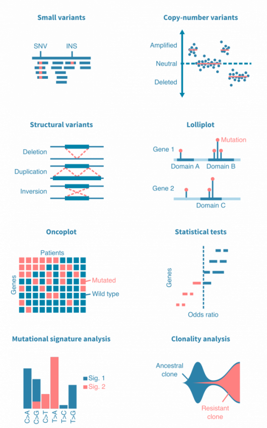 Somatic mutation calling from DNA-seq data – Genevia Technologies