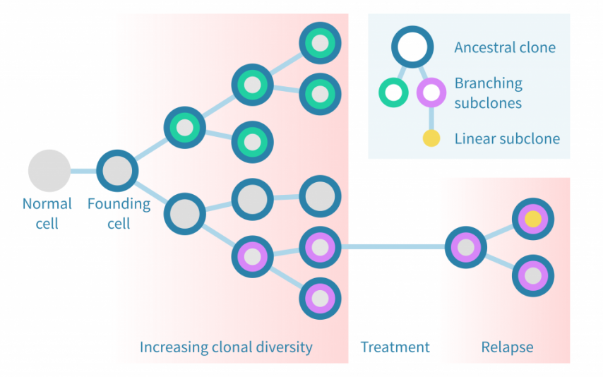 Tumor evolution analysis from sequencing data – Genevia Technologies