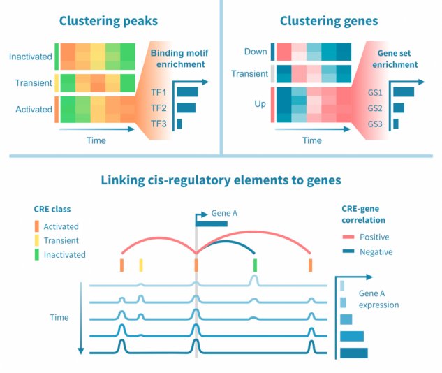 An example bioinformatics analysis result figure – Genevia Technologies