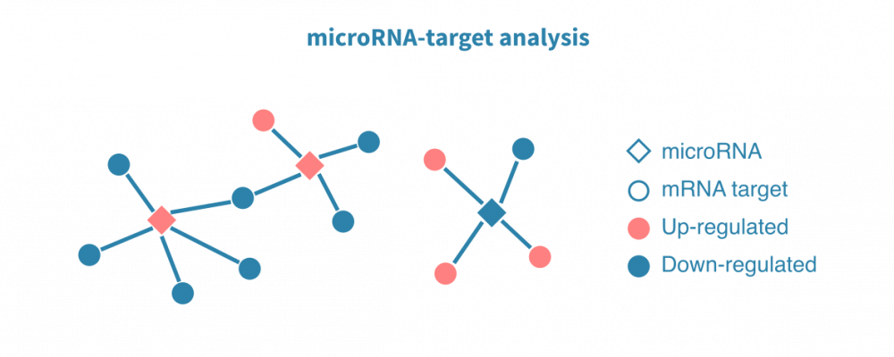 MiRNA sequencing data analysis – Genevia Technologies