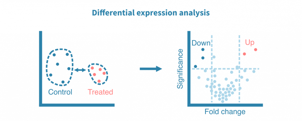 Differential gene expression analysis from RNA-seq data – Genevia Technologies