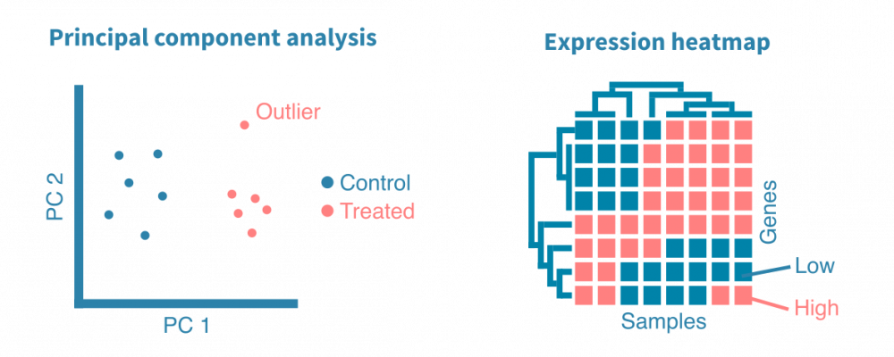 Exploratory analysis of RNA-seq data – Genevia Technologies