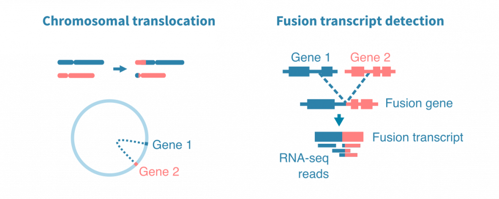 Gene fusion detection from RNA-seq data – Genevia Technologies