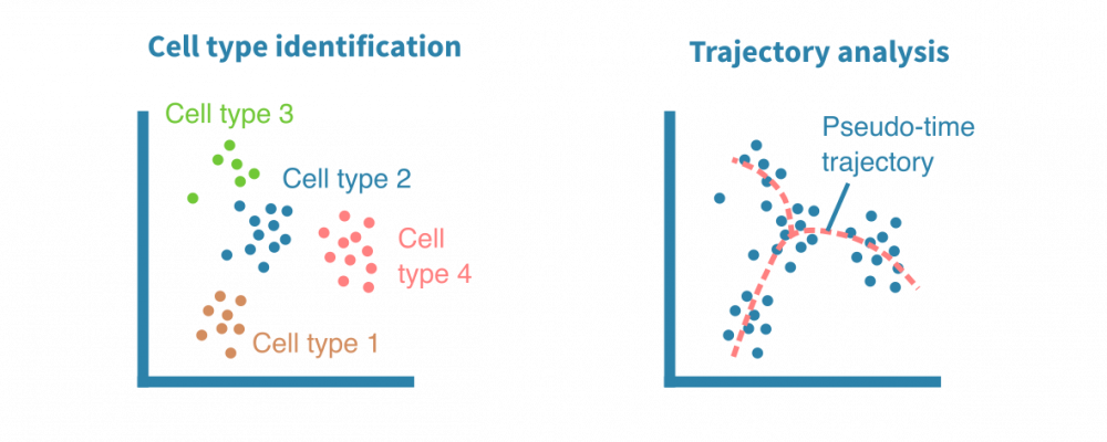 Single-cell RNA-seq analysis – Genevia Technologies