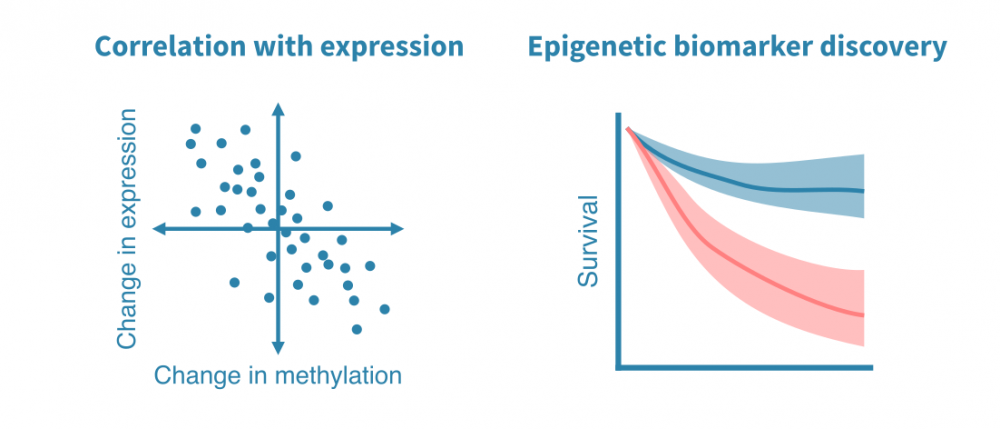 DNA methylation analysis – Genevia Technologies
