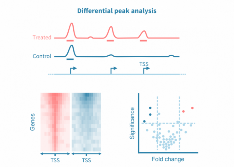 Differential peak analysis from epigenomic data – Genevia Technologies