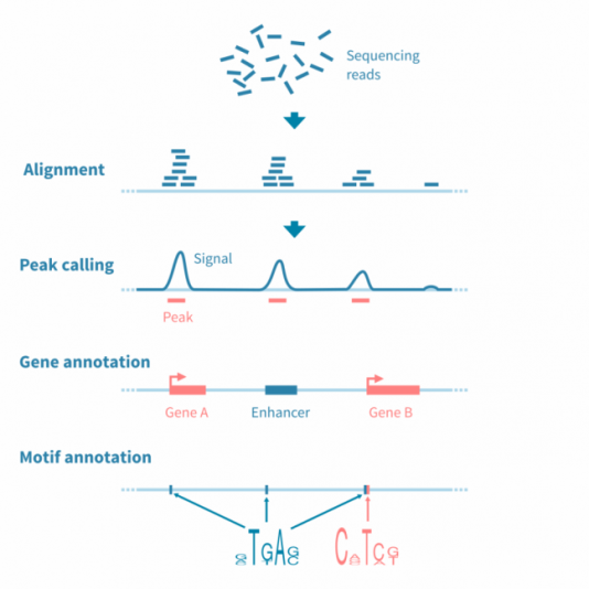 Peak calling and annotation from epigenomic data – Genevia Technologies