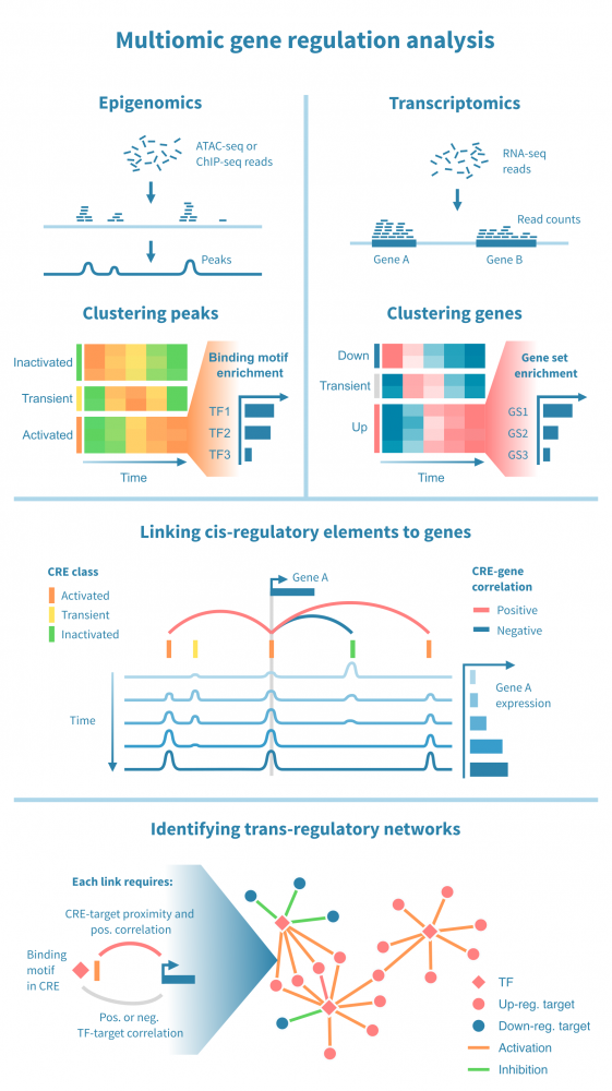 Workflow for integrative analysis of RNA-Seq and ChIP-Seq data.