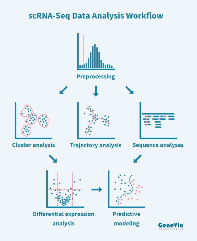 scRNA-Seq data analysis workflow covering preprocessing, clustering, trajectory analysis, differential expression and predictive modeling.