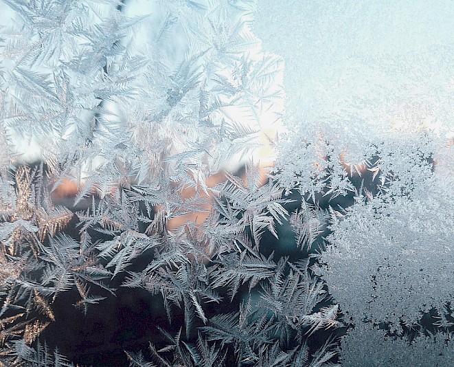 Holiday greetings from the Genevia Technologies team.