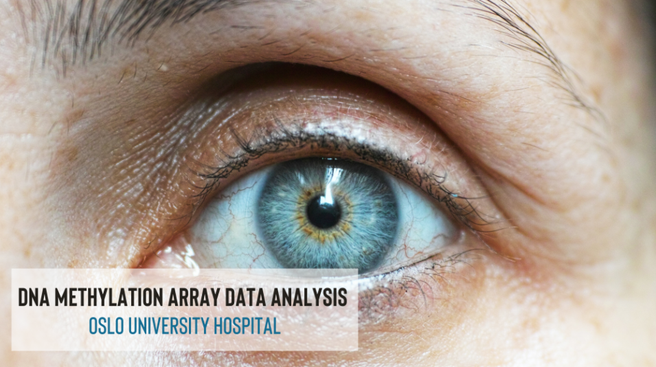 Clinical bioinformatics support for biomedical research at Oslo University Hospital.