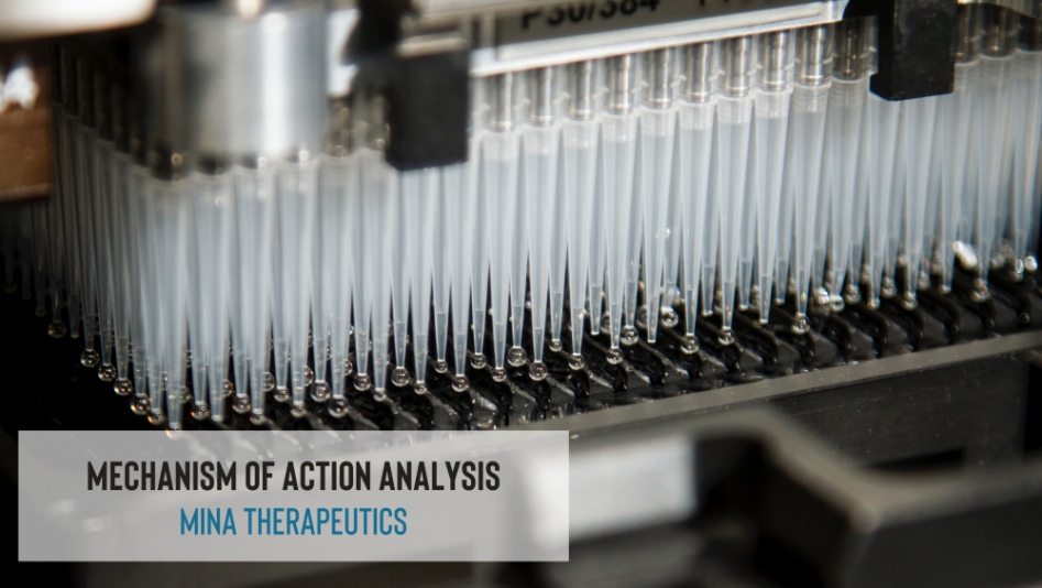 Drug mode of action analysis integrating proteomic and transcriptomic data to characterize treatment effects.