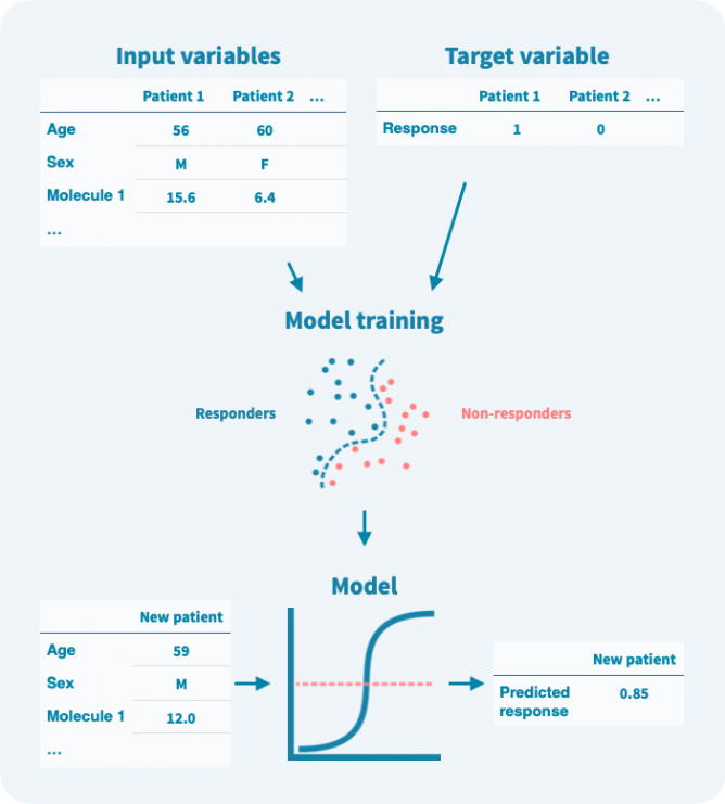 Machine learning workflow for treatment response prediction using patient data and predictive biomarkers.