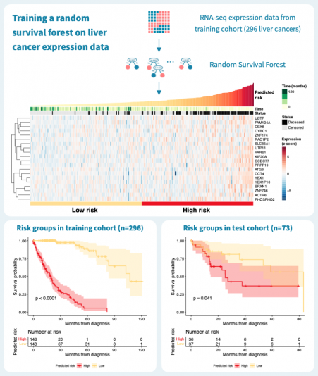 Training a random survival forest on liver cancer expression data