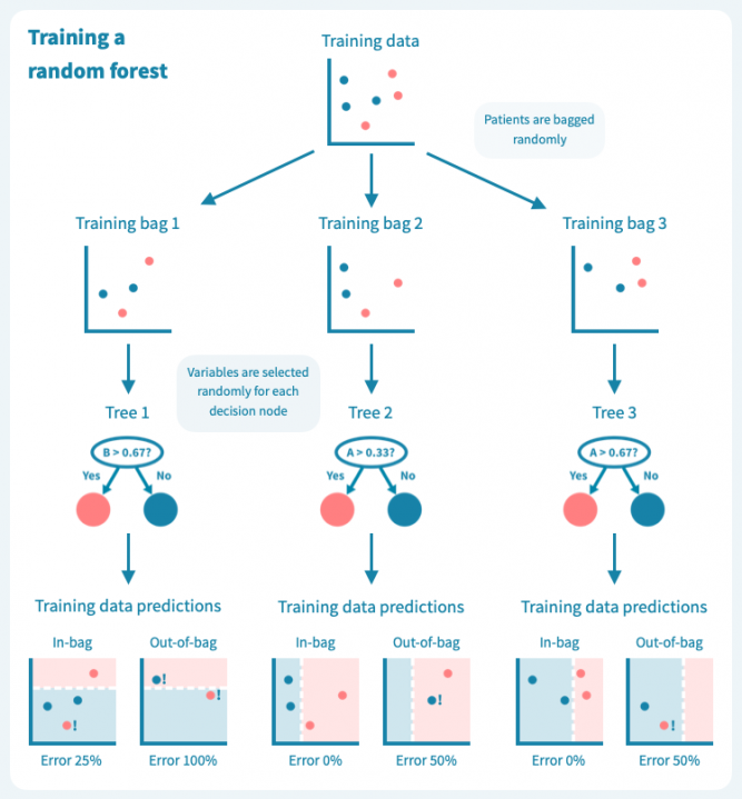 Random forest training example for machine learning in cancer survival prediction.