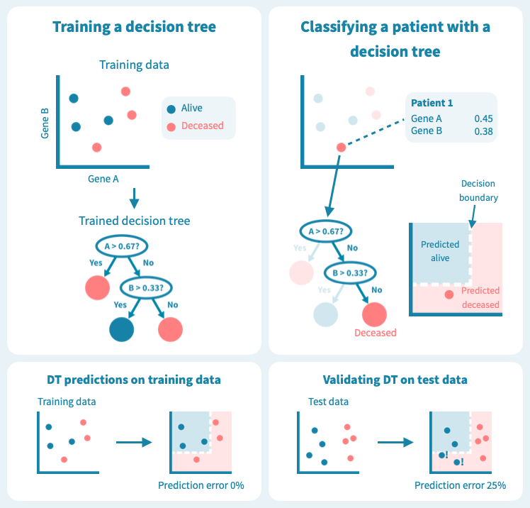 Decision tree example for predicting cancer survival from gene expression data.
