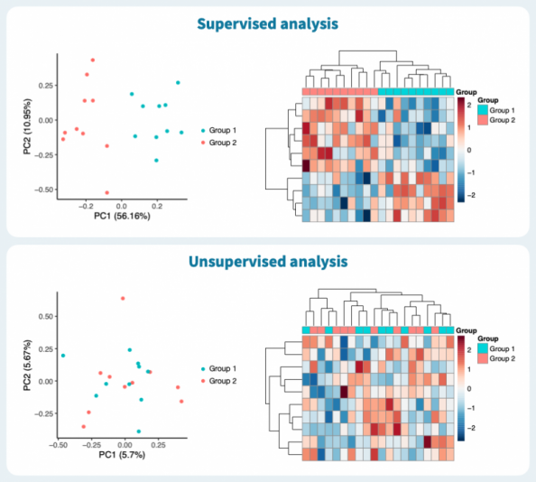 RNA-Seq differential expression example comparing supervised and unsupervised PCA and heatmap analyses.