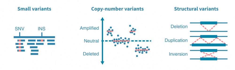 Variant calling workflow for identifying and annotating somatic and germline mutations in cancer sequencing data.