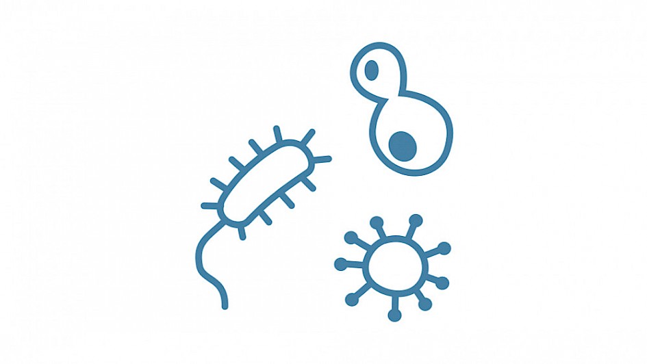 Microbiology research – Genevia Technologies