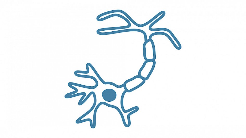 Nervous system research – Genevia Technologies