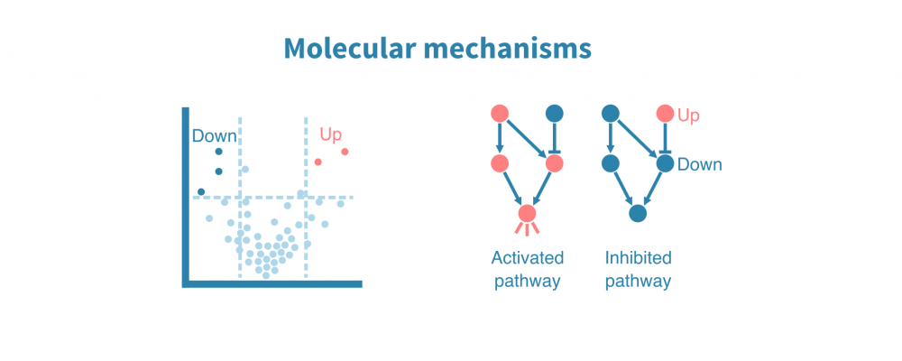 Molecular mechanisms of cancer – Genevia Technologies