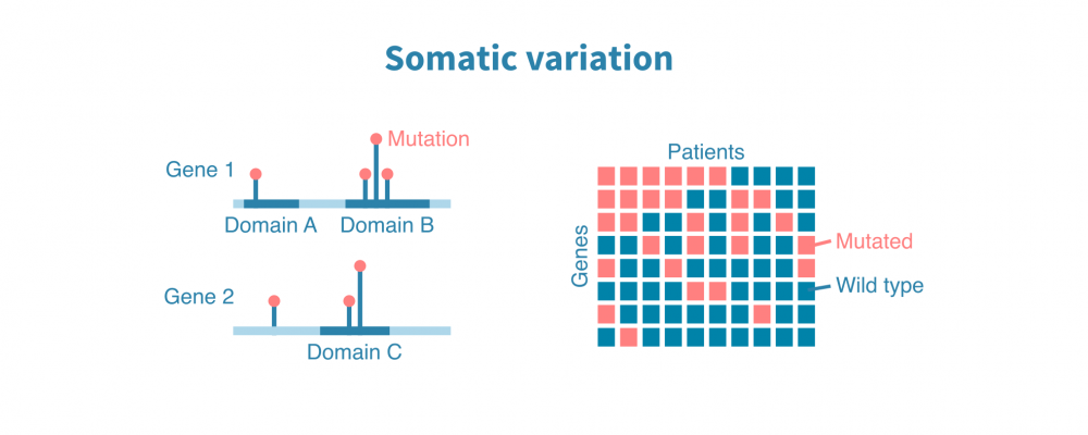 Somatic variation analysis in cancer – Genevia Technologies
