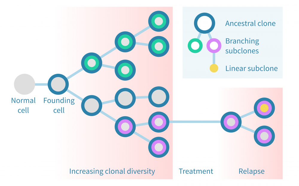 genevia_technologies_tumor_evolution_analysis.png