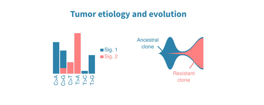 Tumor etiology and evolution analysis – Genevia Technologies