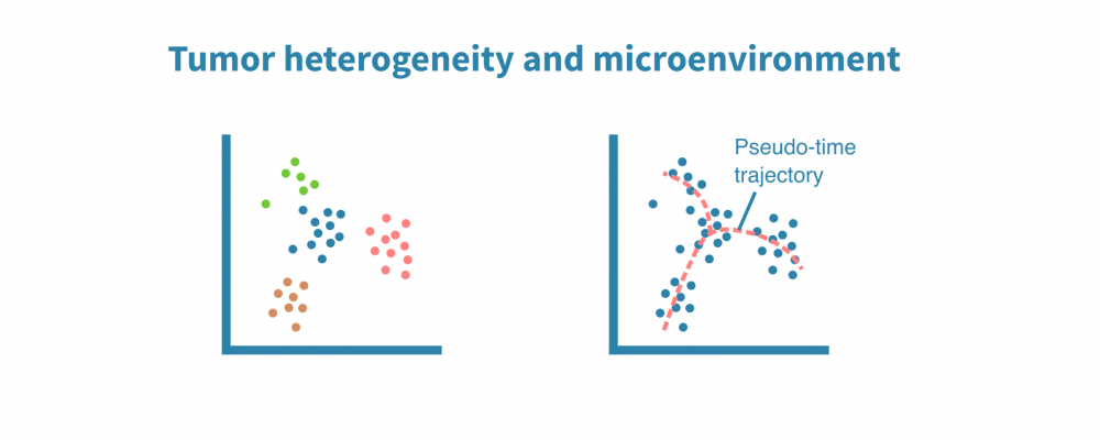Tumor heterogeneity and microenvironment analysis – Genevia Technologies