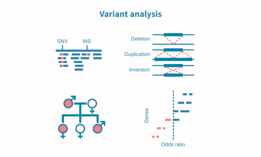 Genetic variant analysis – Genevia Technologies