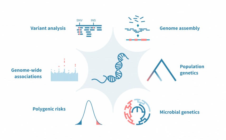 Genetics bioinformatics – Genevia Technologies