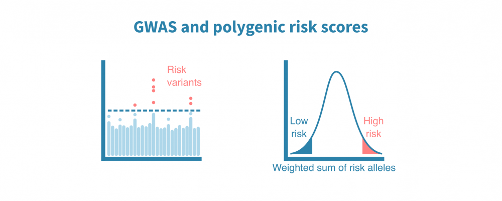 GWAS and polygenic risk score analysis – Genevia Technologies