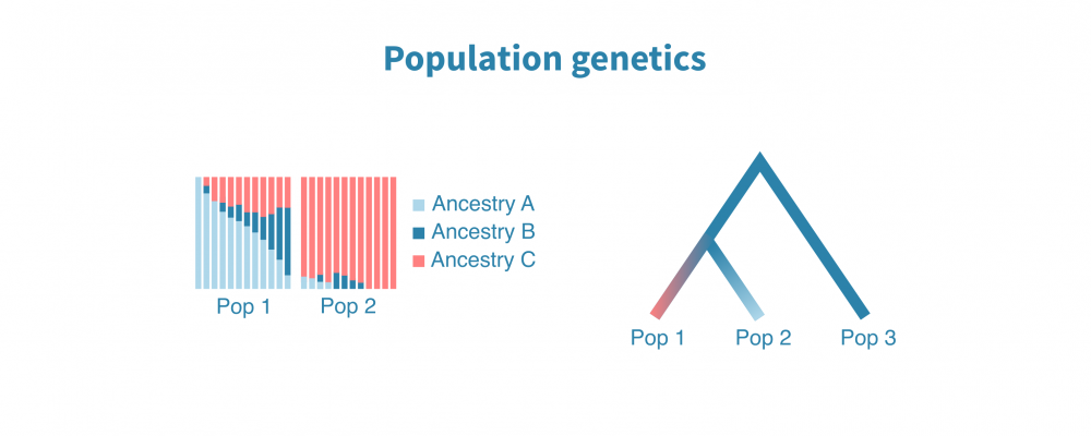 Population genetics analysis – Genevia Technologies