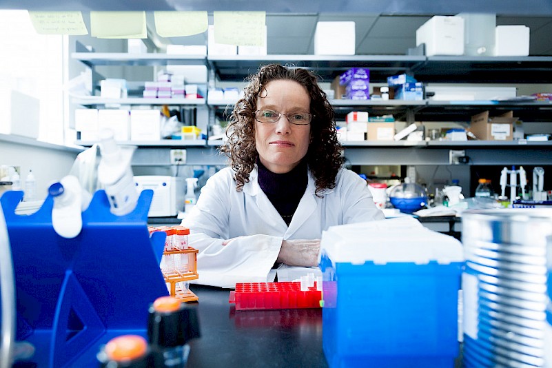 Epigenetic biomarkers pipeline for identifying DNA methylation patterns associated with chronic back pain.