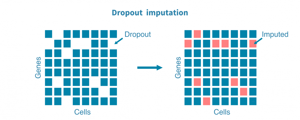 Imputation of single-cell RNA-seq data – Genevia Technologies