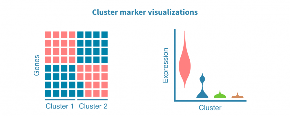 Marker gene visualization in single-cell RNA-seq data – Genevia Technologies