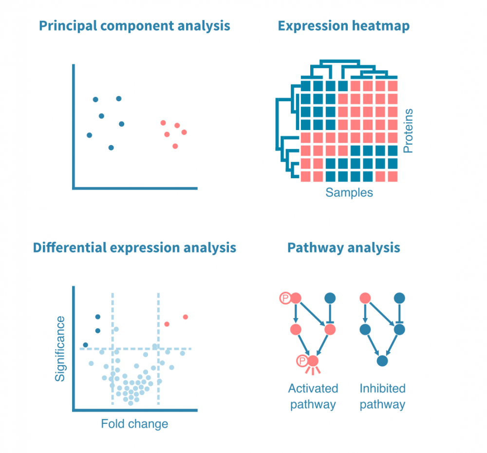 The proteomics and metabolomics data analysis workflow – Genevia Technologies