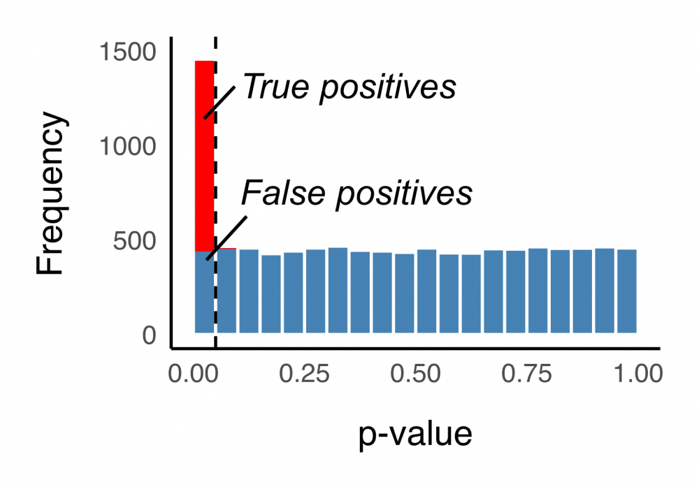 What Is Multiple Testing Correction Genevia Technologies