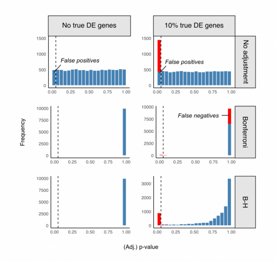 P-value histograms illustrating the effect of multiple-testing correction in data analysis.