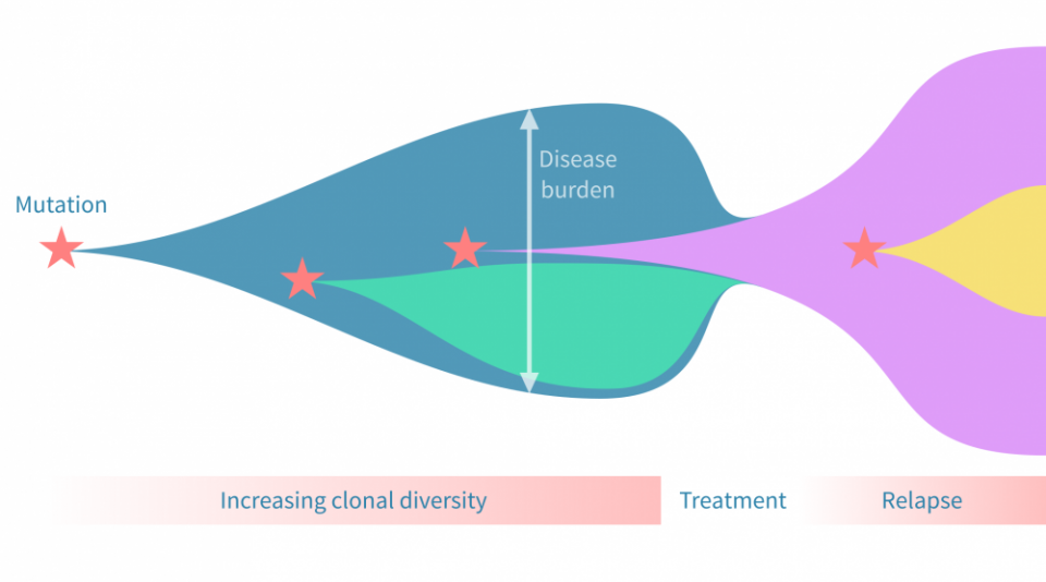 River plot showing changes in cancer cell clones during tumor evolution.