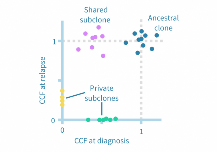 Clone detection from sequencing data in evolutionary cancer analysis.
