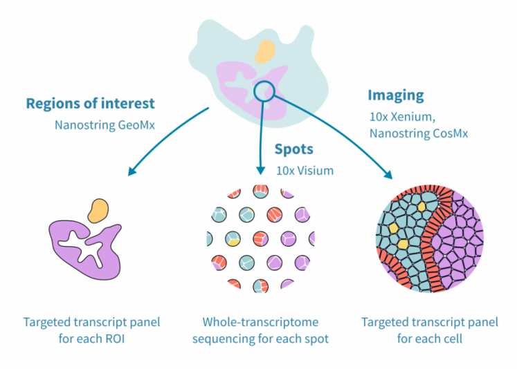 Spatial transcriptomics platforms – Genevia Technologies