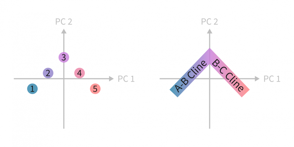 PCA plot of population structure used in PCA plot troubleshooting.