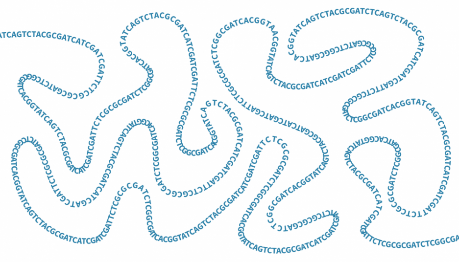 Long-read sequencing services and applications for resolving complex genomic variation.