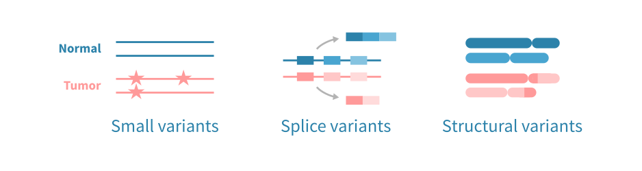 Somatic mutation calling step in computational neoantigen prediction.