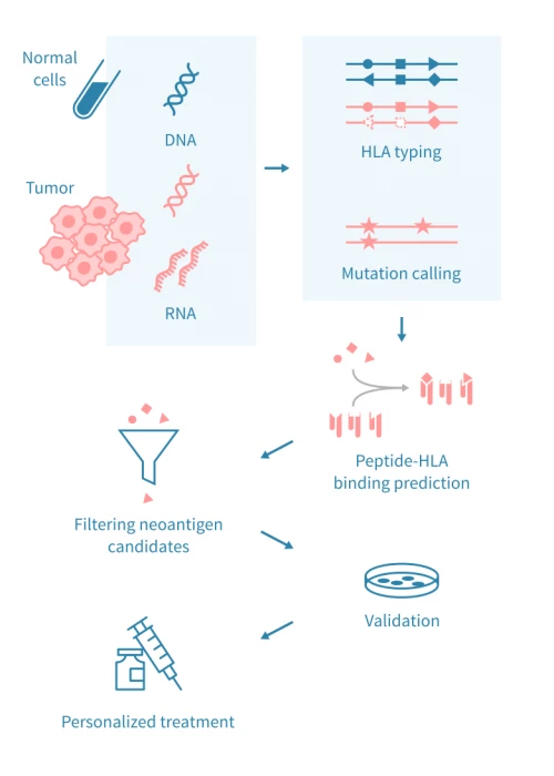 Computational Neoantigen Prediction: Unlocking Personalized Immunotherapy